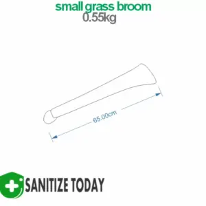 Alternative view of Small Grass Broom