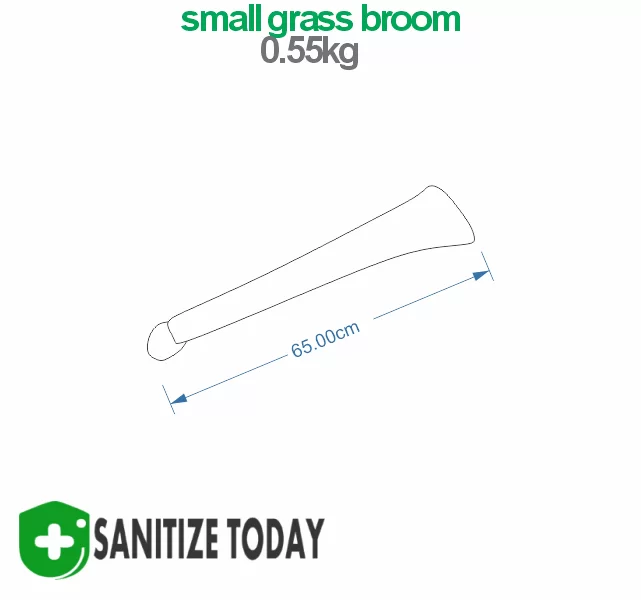 Small Grass Broom - Image 2