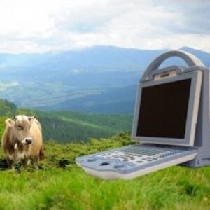 KX5600V Vet Ultrasound Machine