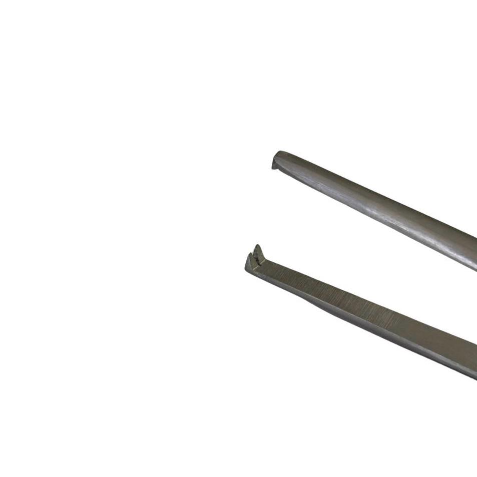 Alternative view of Dissecting Forceps 15cm Toothed