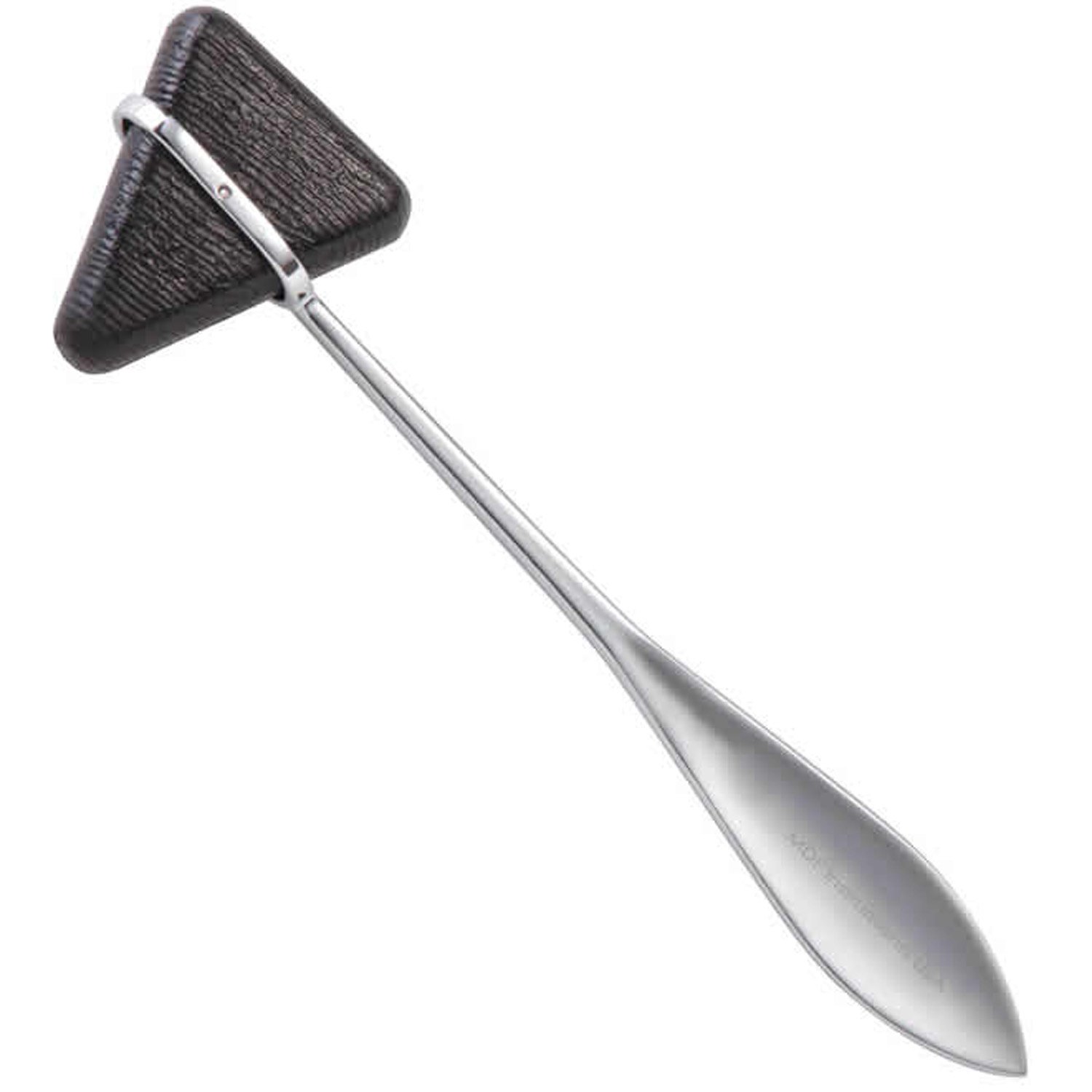 Taylor Hammer
