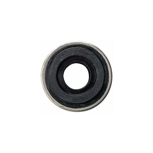 Alternative view of Oxygen Regulator – Bodok Seal