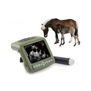 Full digital Mechanical Sector ultrasonic diagnostic instrument